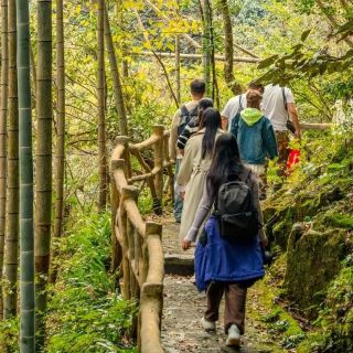 신농곡 가을겨울 한정 플레이 출시