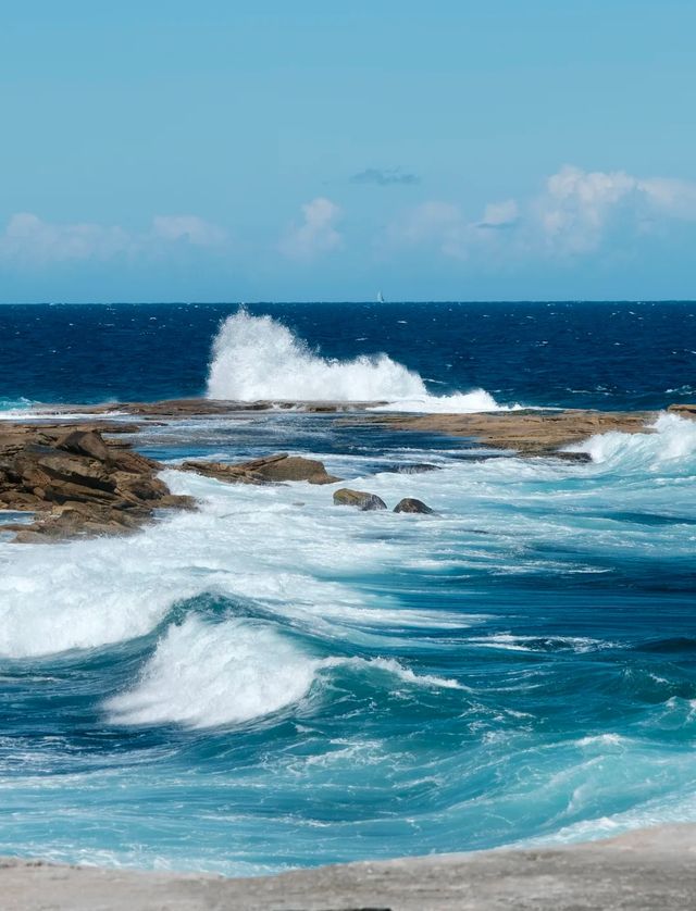 答應我！這輩子一定要在悉尼暴走一天！