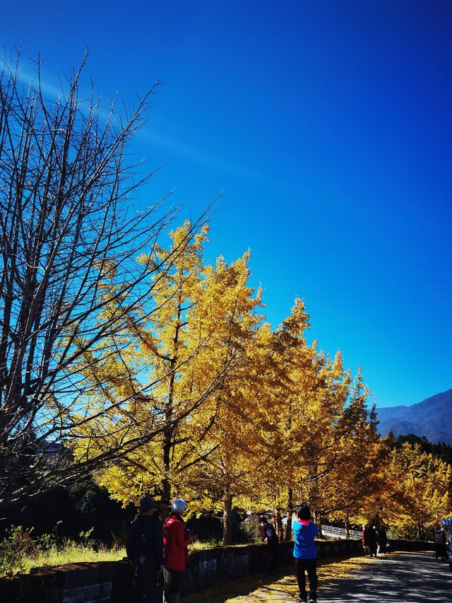 騰衝寶藏青旅！在貝雷帽青旅，我找到了旅行的意義！  這次騰衝之行，最正確的決定就是入住了貝雷帽青旅！