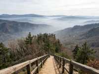 雞冠山探秘：豫西的奇峰秀水，來一場說走就走的“野趣”之旅