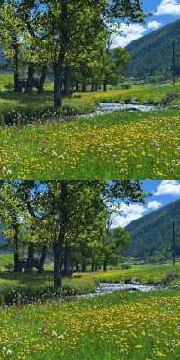 甲根壩納梯村實拍