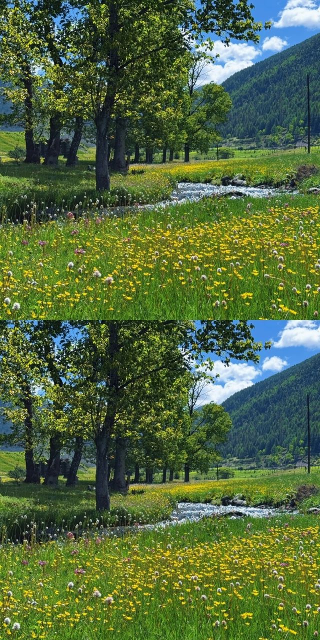 甲根壩納梯村實拍