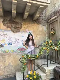 東迪海洋太夢幻啦!(附14個項目攻略