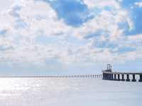 第一次趕海就上癮!南澳寶藏趕海攻略來啦