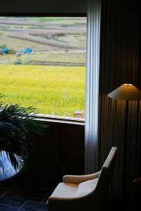 雲南旅行 | 去了沙溪家很出片的咖啡店