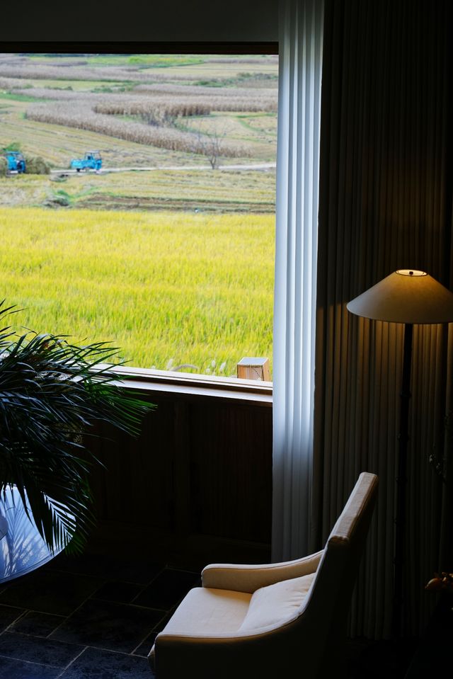 雲南旅行 | 去了沙溪家很出片的咖啡店