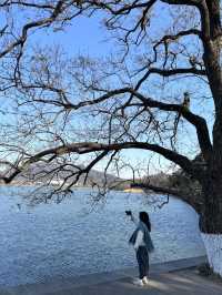 每個來玄武湖的朋友都被我帶到這裡