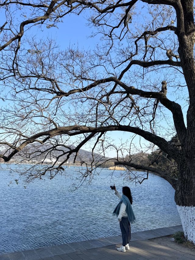 每個來玄武湖的朋友都被我帶到這裡