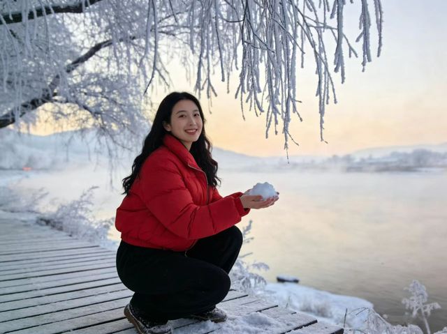 保姆級攻略 完美避開了所有的坑 速度收藏