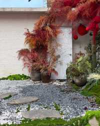 西安Citywalk發現城市新角落 散步遛彎… “若西安的風有形狀 那一定是大華1935的輪廓”