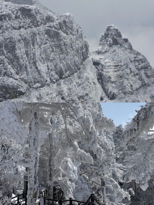 踏雪而上,赴轎子雪山的白頭之約 踏雪而上,赴轎子雪山的白頭之約