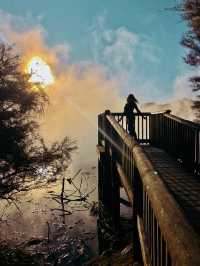 新西蘭必看小團|9天中文司導帶玩南北島