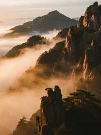 宜春明月山秋季親子遊!登山泡泉+避坑指南