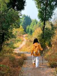 成都0.5h公交直達的秋日橘林徒步路線~#秋季去爬山南門