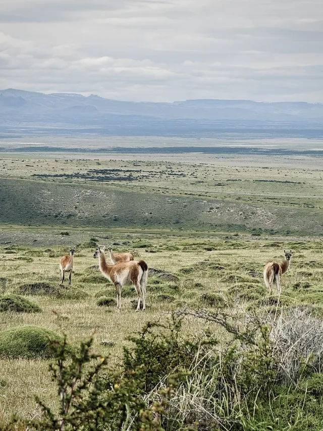 60歲去南極先到智利探個秘 60歲去南極先到智利探個秘