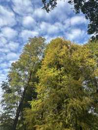 華南植物園拍照吸氧全攻略｜逃離城市計劃來啦