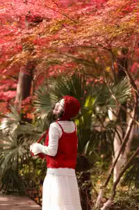 12·1南京棲霞山紅楓進入觀賞期～附路線～