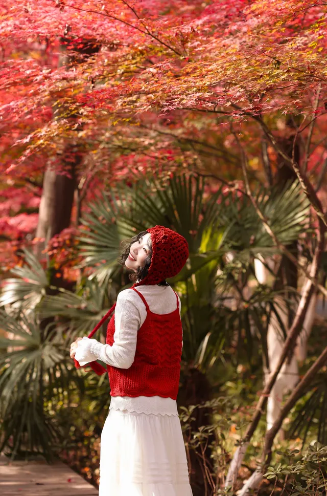 12·1南京棲霞山紅楓進入觀賞期～附路線～