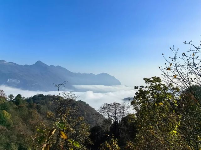 北川藥王谷4天3夜旅遊攻略