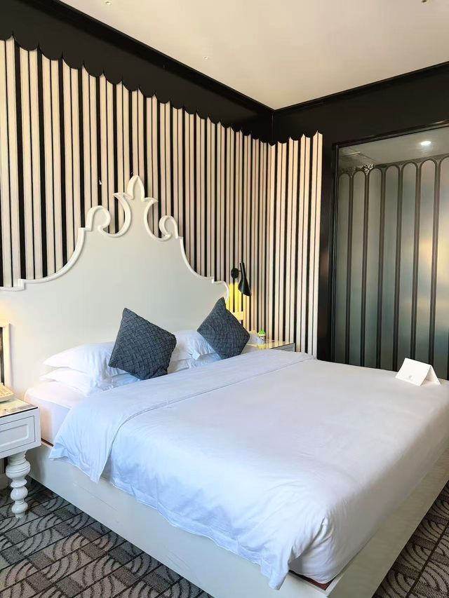 滇池看海鷗！人均100+設計型剛退滿意離