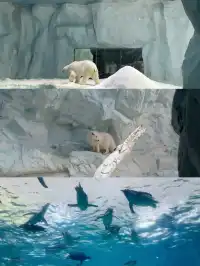 2歲寶寶,珠海長隆2天1晚遊玩攻略