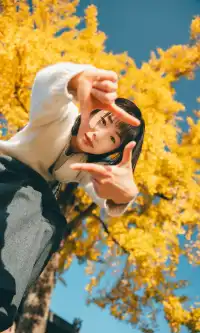 溫州這個古村的百年銀杏已到最佳觀賞期~