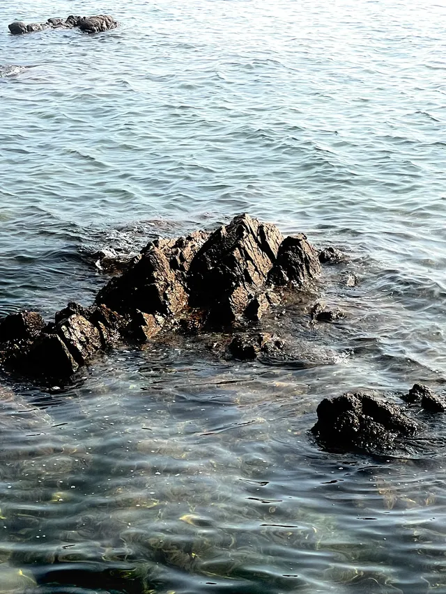 漫遊QingDao|青島八大關 漫遊QingDao|青島八大關