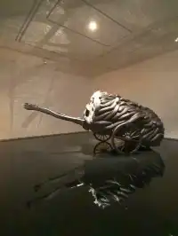 新西蘭D1|奧克蘭一日遊