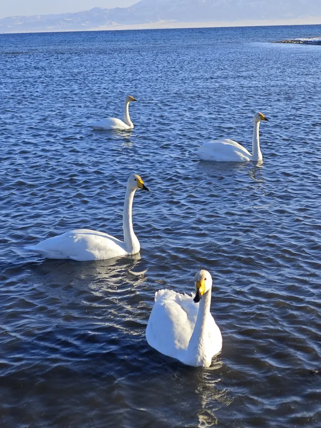 自駕賽里木湖 第三章 賽里木湖日出 自駕賽里木湖 第三章 賽里木湖日出