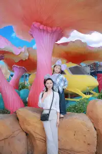 珠海長隆199跟拍｜性價比封神！