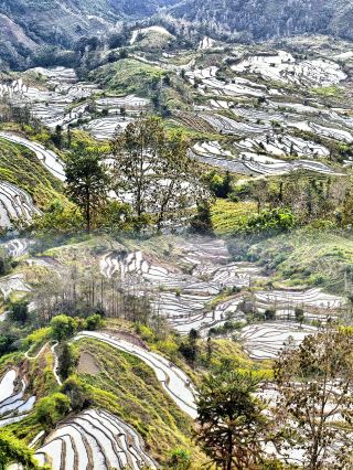 Yuanyang One-Day Light and Shadow Tour: A Healing Appointment with Terraces and Ancient Villages