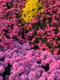 【南寧必打卡|青秀山,藏在城市裡的綠野仙蹤】