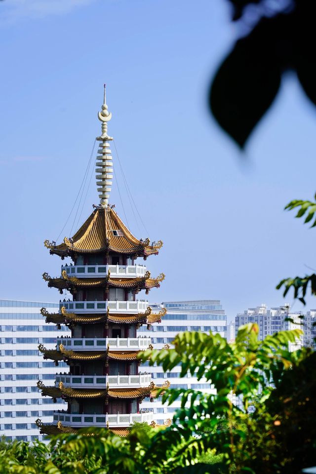 逃離城市喧囂廈門這條山海步道真的封神了