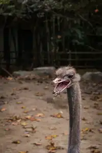 上海動物園‖動物攝影師的天堂