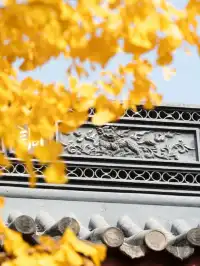 南京2天1晚 丨超詳細賞秋寶藏路線