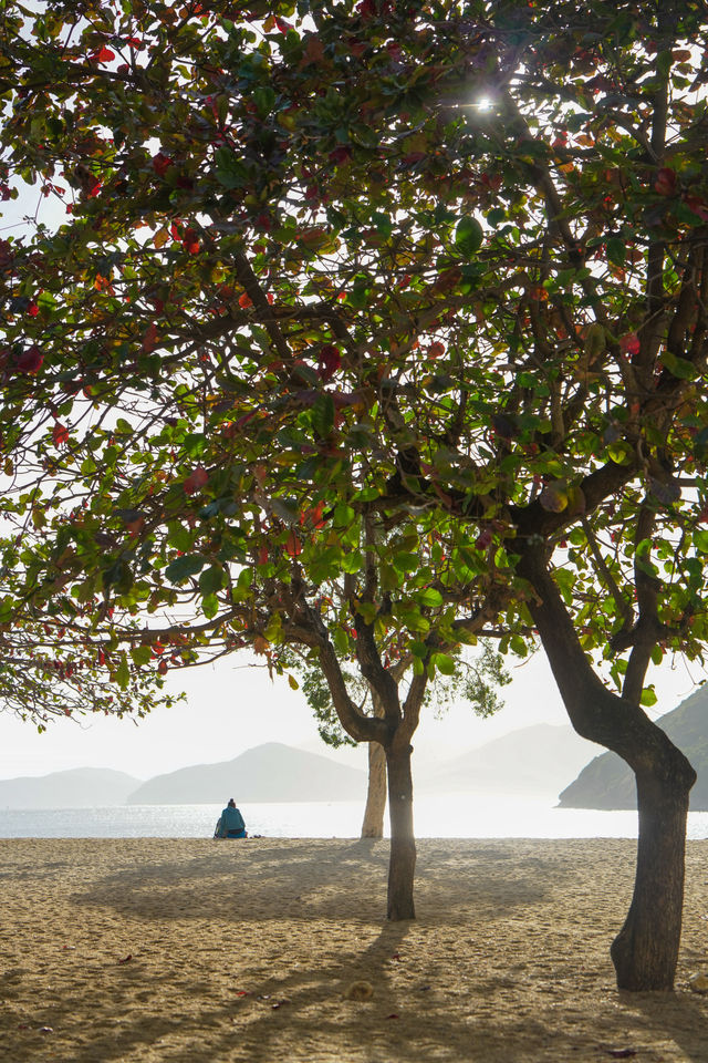 比起中環,我更喜歡這個「東方夏威夷」 比起中環,我更喜歡這個「東方夏威夷」