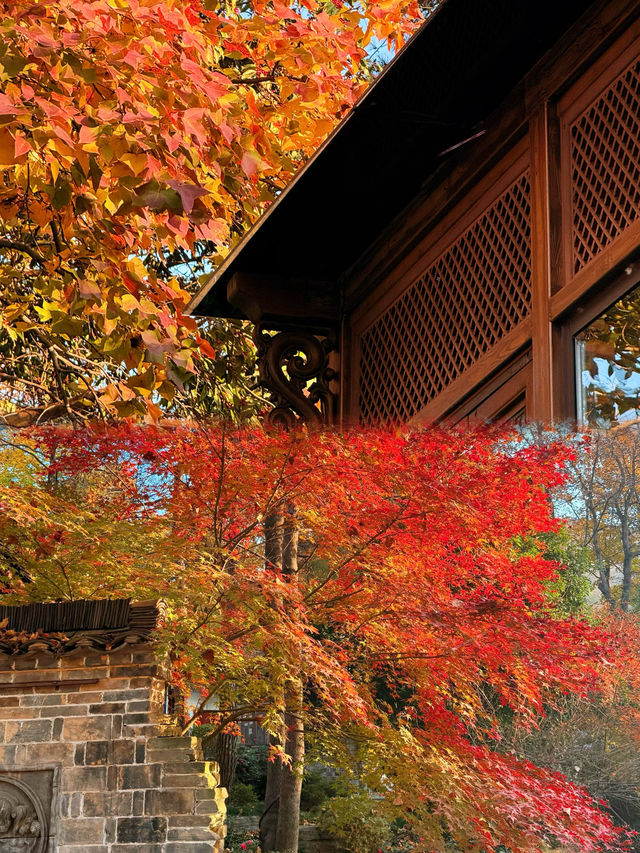 被問爆了!這個秋天在永泉小鎮,找到了江南最治癒的時光 被問爆了!這個秋天在永泉小鎮,找到了江南最治癒的時光