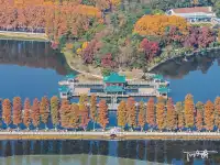 快衝!聽濤的彩林已經美到詞窮!