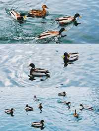 第N次來長白山,我把時間留給這個童話小鎮