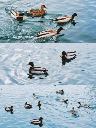 The Nth time visiting Changbai Mountain, I reserved my time for this fairy tale town