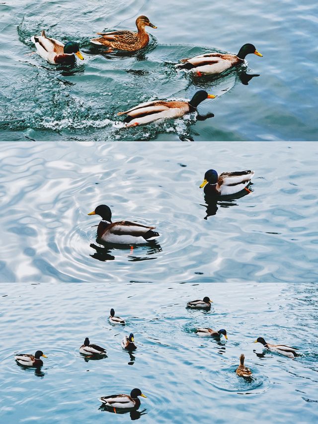 第N次來長白山,我把時間留給這個童話小鎮 第N次來長白山,我把時間留給這個童話小鎮