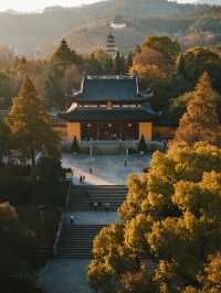 嶽麓山親子楓景線!帶娃沉浸式感受秋日詩意