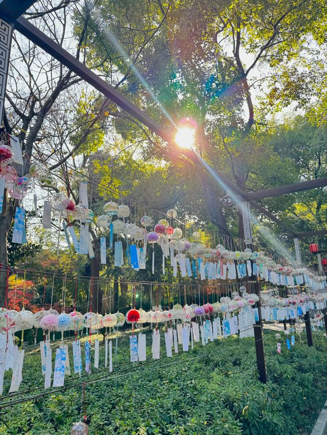 清涼山公園才是金陵賞秋天花板! 清涼山公園才是金陵賞秋天花板!