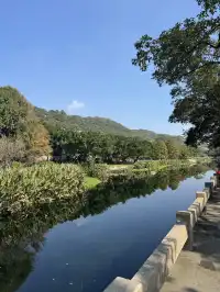 願所求皆所得，在普陀山止不住落淚