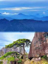 黃山歸來不看岳?我信了 雲海、奇松、怪石,每一幀都是國畫