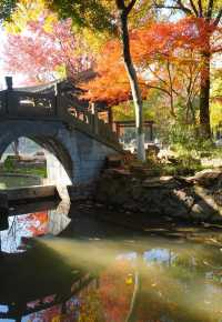 在義烏的浪漫一日從詩意公園到天上宮闕的穿越之旅在義烏發現