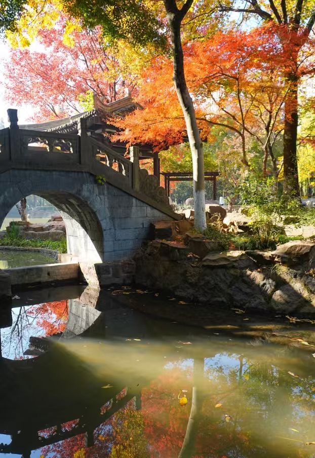 在義烏的浪漫一日從詩意公園到天上宮闕的穿越之旅在義烏發現 在義烏的浪漫一日從詩意公園到天上宮闕的穿越之旅在義烏發現