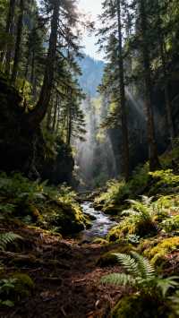 長白山火山國家地質公園旅遊攻略
