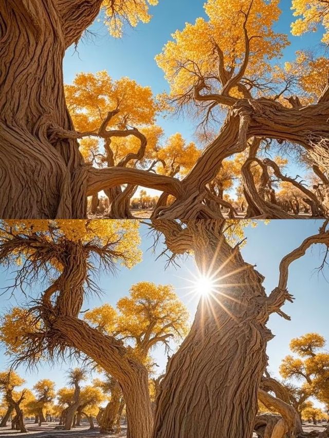 胡楊林裡,尋找失落的地平線 胡楊林裡,尋找失落的地平線