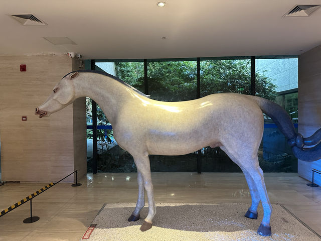 南京博物院 南京博物院